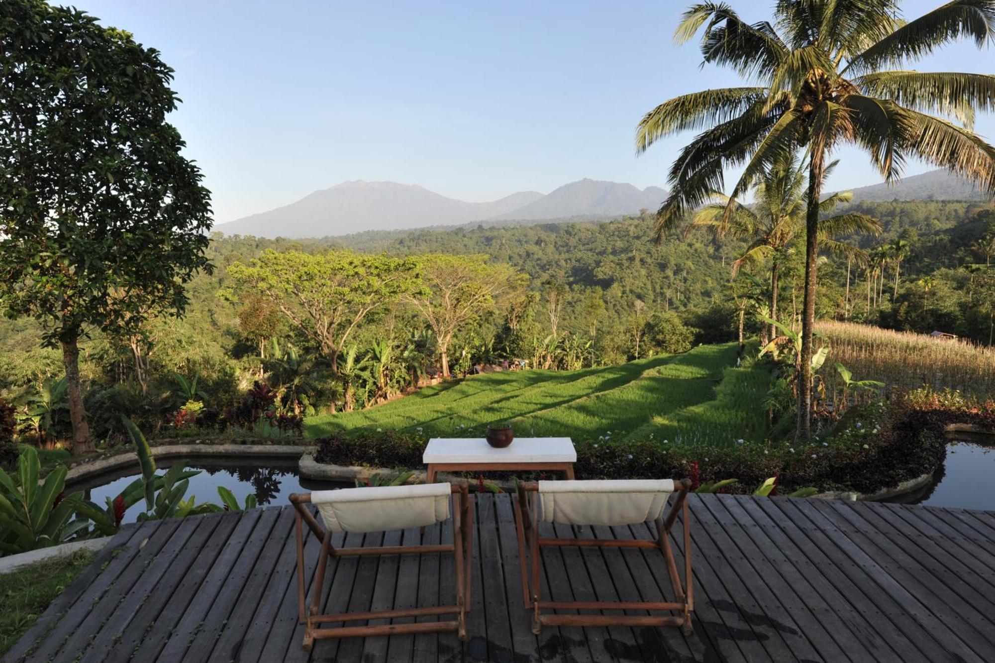 Ijen Resort And Villas - The Hidden Paradise 바뉴왕기 외부 사진