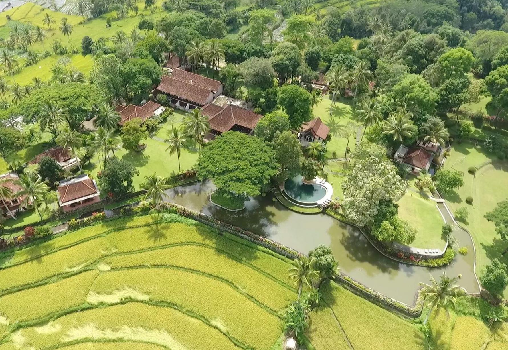 Ijen Resort And Villas - The Hidden Paradise 바뉴왕기 외부 사진