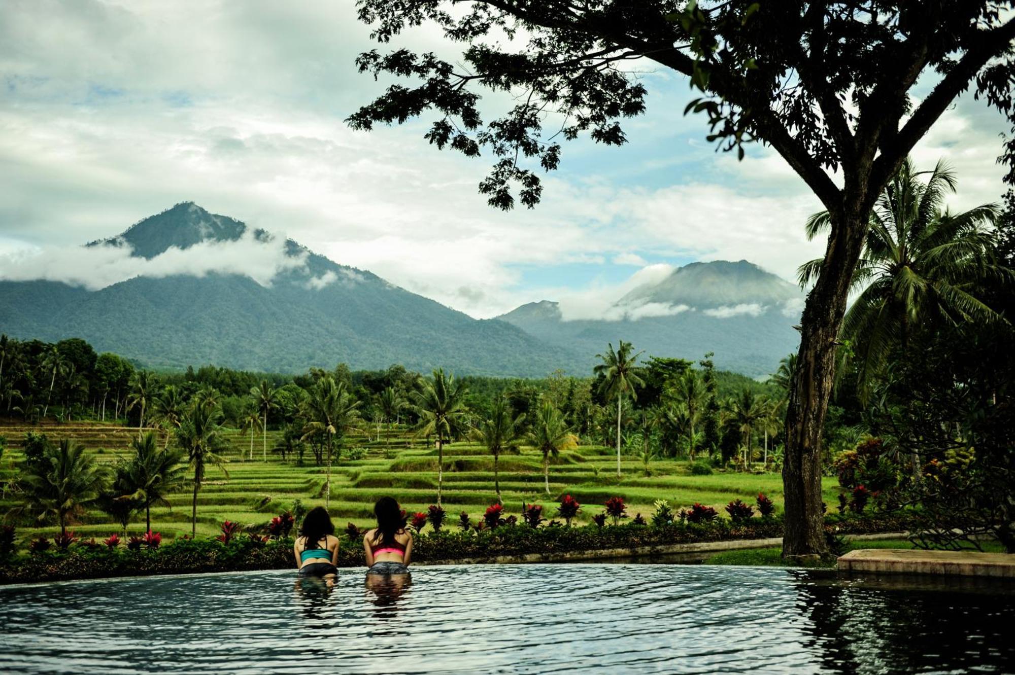 Ijen Resort And Villas - The Hidden Paradise 바뉴왕기 외부 사진