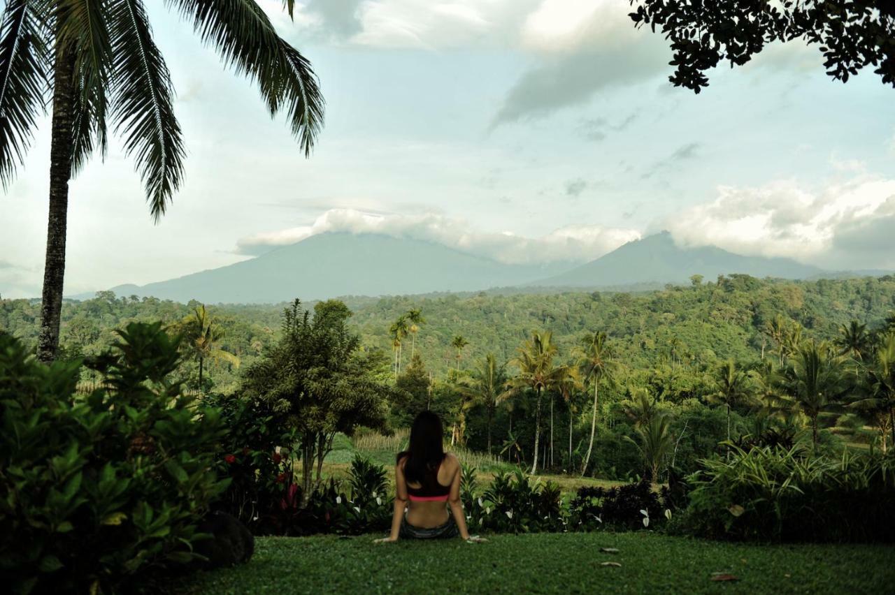 Ijen Resort And Villas - The Hidden Paradise 바뉴왕기 외부 사진
